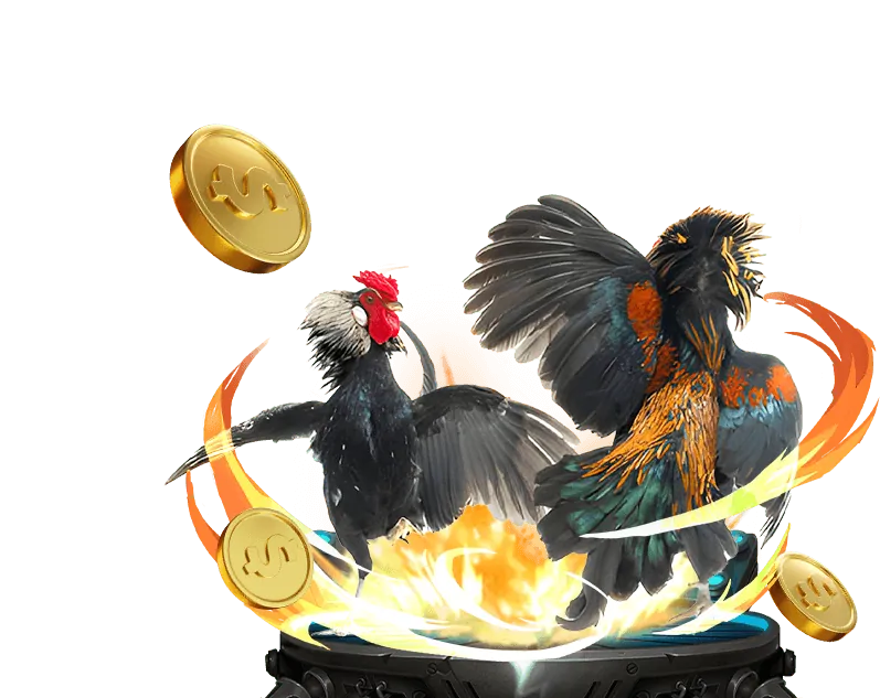 Đá Gà Manclub Wiki